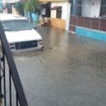 Cientos de casas inundadas y árboles derribados por las lluvias en Santiago