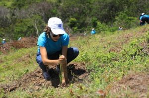 Empleados del Popular siembran 14,000 árboles en Plan Sierra