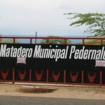 Población de Pedernales indignada por clausura de matadero municipal