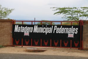 Población de Pedernales indignada por clausura de matadero municipal