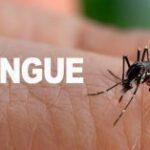 Se elevan a 34 las muertes por dengue y a 40 por leptospirosis