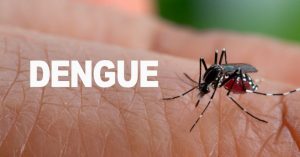 Se elevan a 34 las muertes por dengue y a 40 por leptospirosis